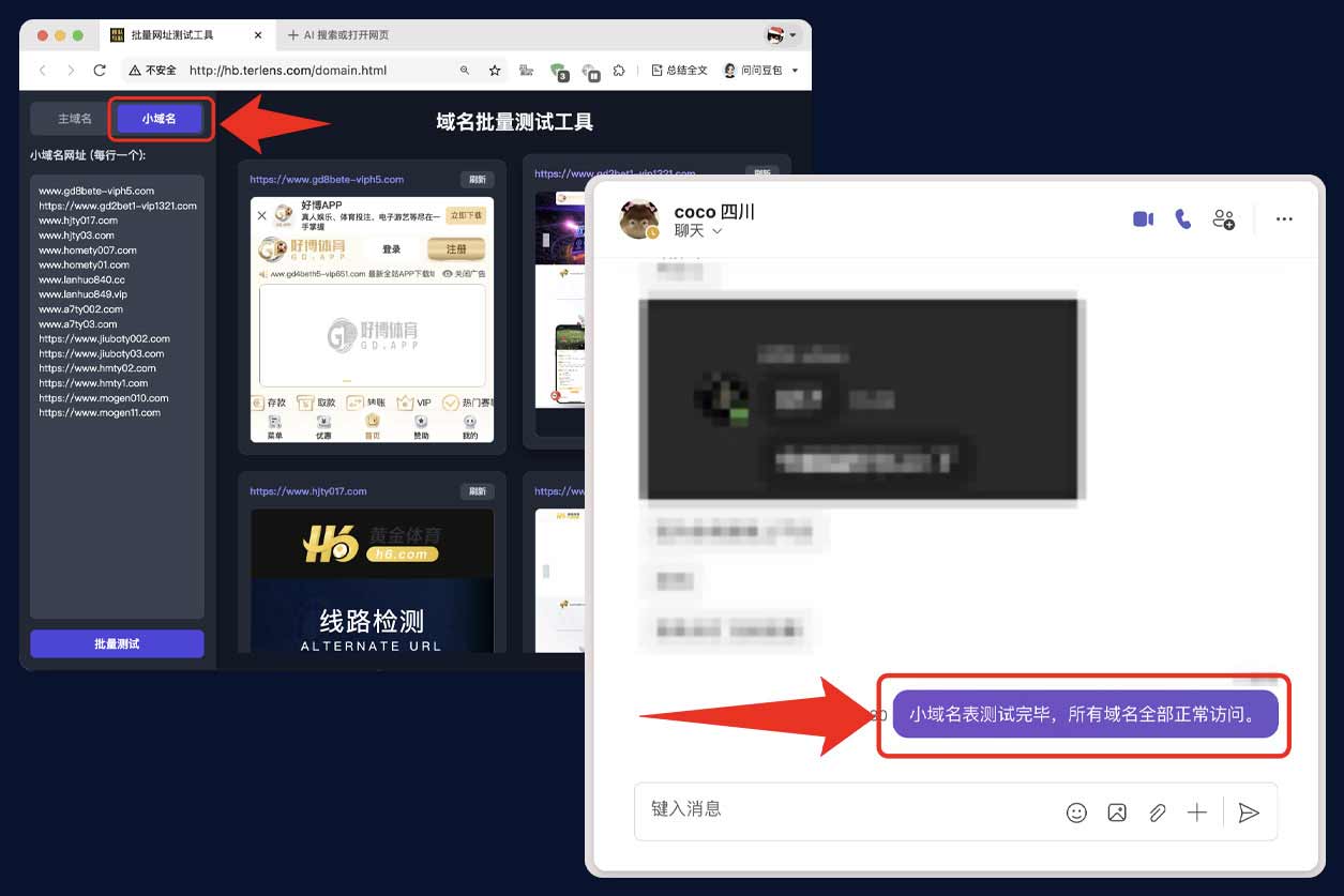 小域名表测试示例