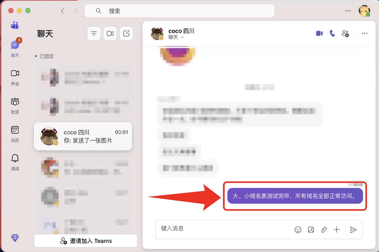 大、小域名表测试示例